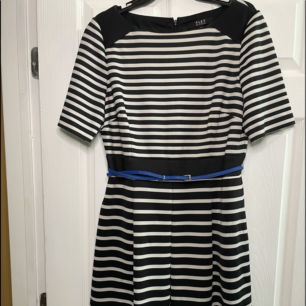 13. Alex Marie Dress - Picture 3 of 7